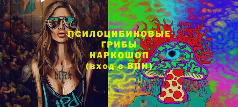 мега вход  Новосибирск  Псилоцибиновые грибы MAGIC MUSHROOMS 